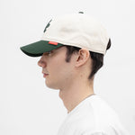 Graphic Embroidery Cap